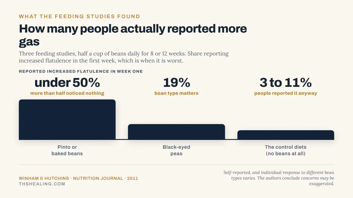 Bar chart showing under 50% reported more gas on pinto or baked beans in week one, 19% on black-eyed peas, and 3 to 11% on control diets containing no beans