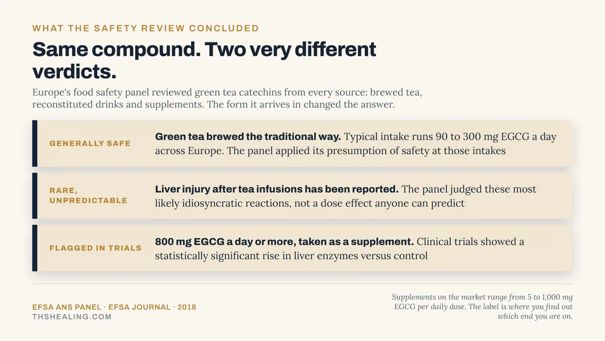 Evidence ladder: brewed green tea generally considered safe, rare unpredictable liver injury after infusions, and supplement doses of 800 mg EGCG or more flagged in clinical trials