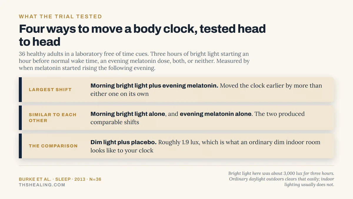 Evidence ladder showing morning bright light plus evening melatonin produced the largest clock shift, light alone and melatonin alone produced similar shifts, and dim light with placebo was the comparison