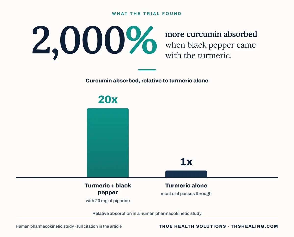 Bar chart showing curcumin absorption was 20 times higher when turmeric was taken with 20 mg of piperine from black pepper than when it was taken alone
